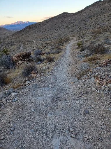 A desert trail winding up a ridgeline at dusk